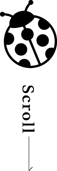 下へスクロール