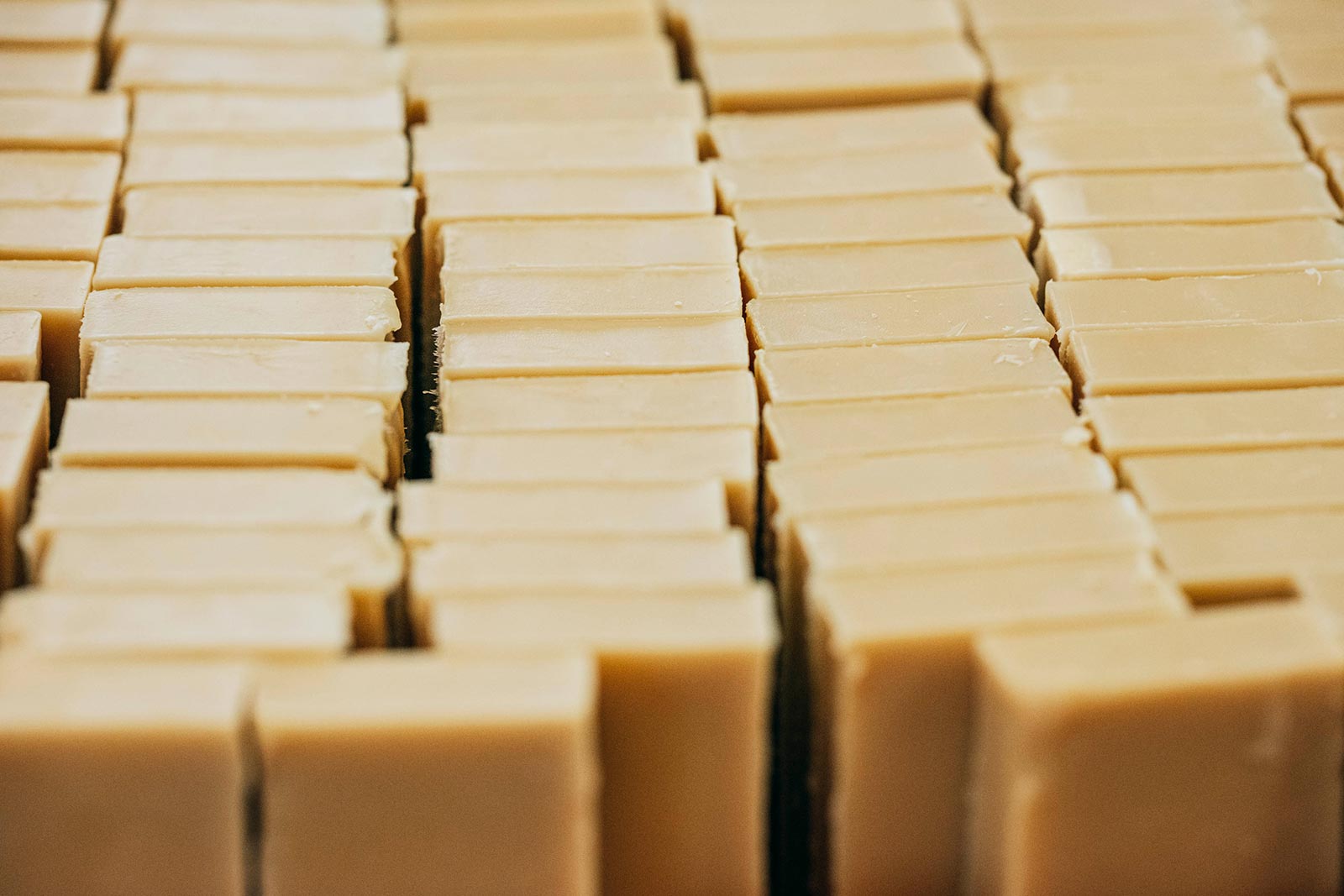 atelier−林が見える工房「アトリエ」−