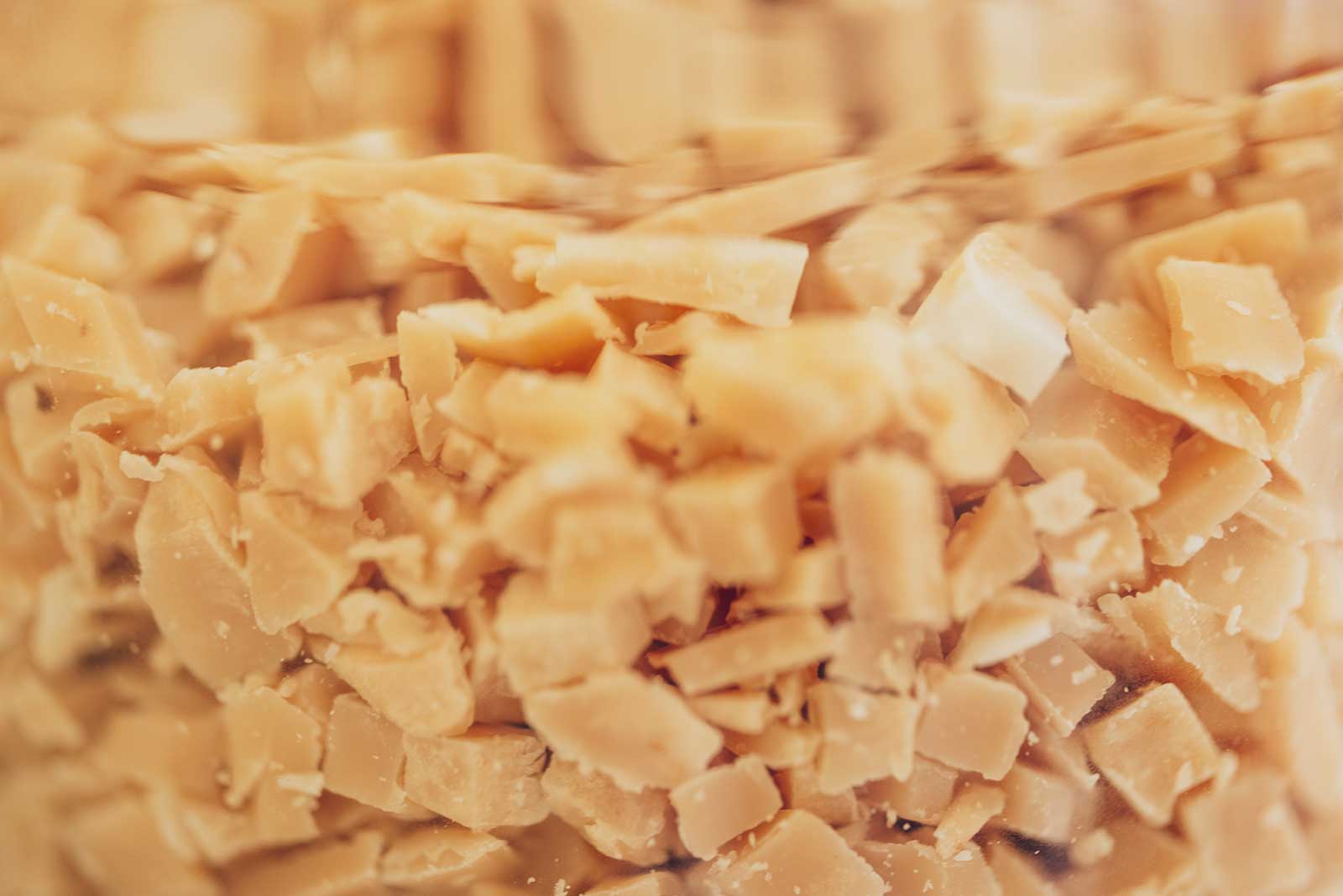 atelier−林が見える工房「アトリエ」−