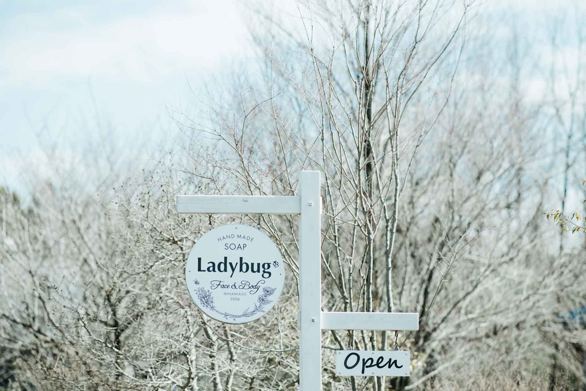 熊本・南阿蘇の手作り石鹸 Ladybug —レディバグ—